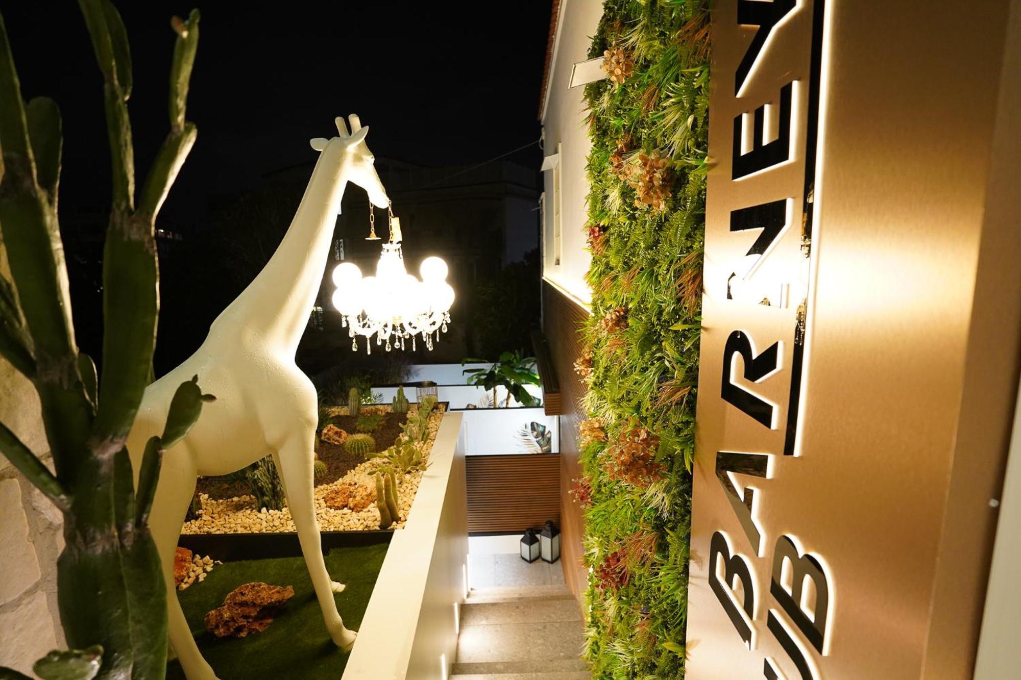 Barneys B&B Cercola Luaran gambar